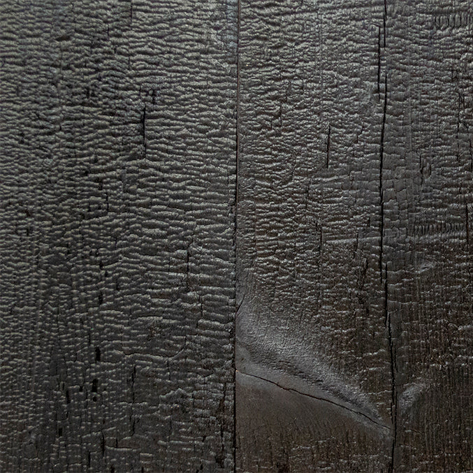 Pioneer Millworks Charred Wood in Colors—Order Samples Online