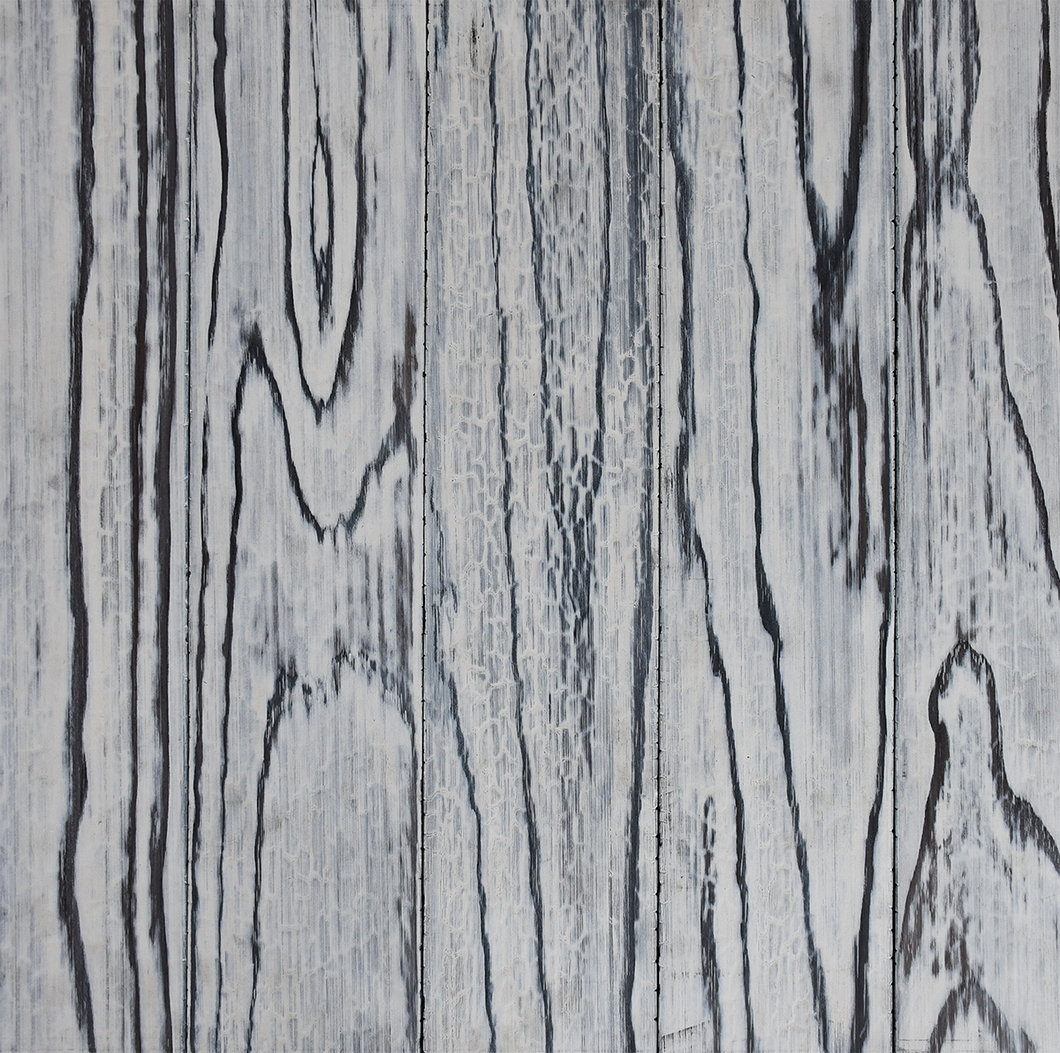 Shou Sugi Ban Accoya® (Sample)